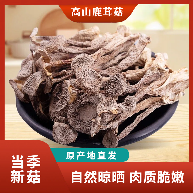 【高山鹿茸菇】 自然晾晒头茬新货菇农直发 鲜嫩爽口好吃营养价值高