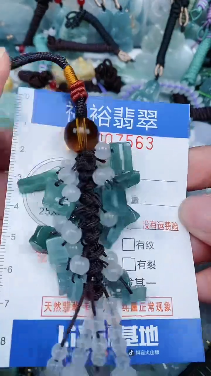 【闪购商品】翡翠颈饰未镶嵌...0007563