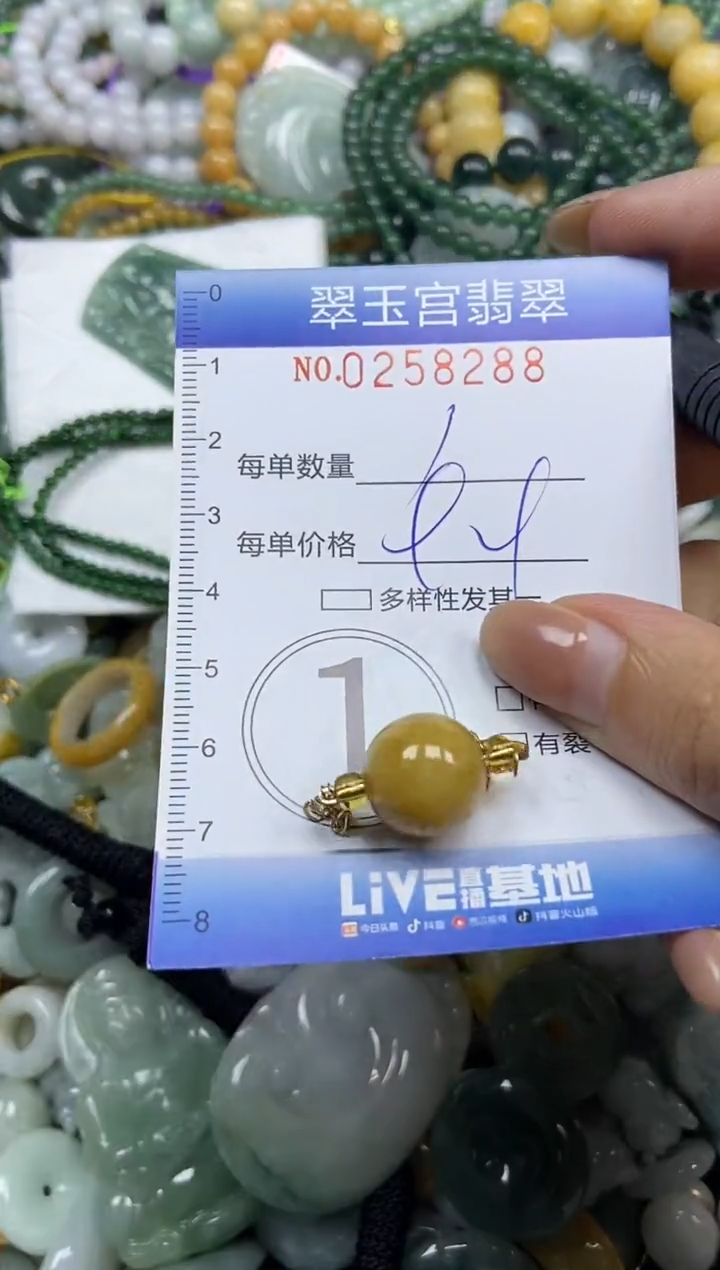 颈饰未镶嵌翡翠闪购C0258288