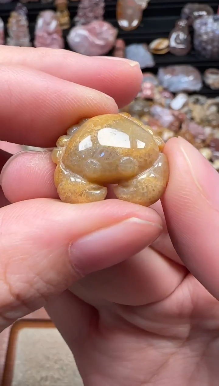 颈饰未镶嵌硅化珊瑚（珊瑚玉）056