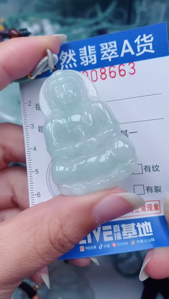 颈饰未镶嵌翡翠00008663