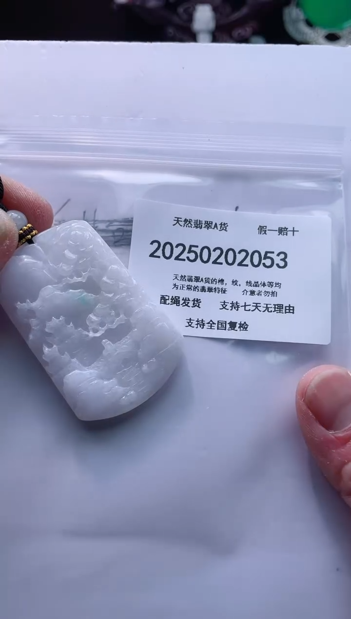 【闪购商品】翡翠颈饰未镶嵌闪购商品8号店200250020013