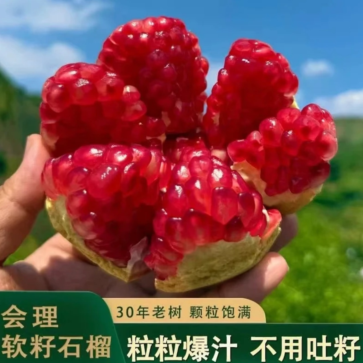 【爆甜多汁】正宗会理突尼斯软籽石榴新鲜当季水果多汁坏果包赔DD