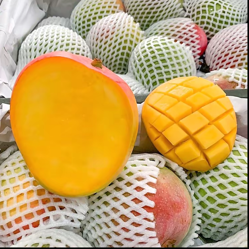 【海南现摘澳芒】当季新鲜现摘滑嫩香甜4-4.5斤左右芒果同城送新鲜芒果海南省
