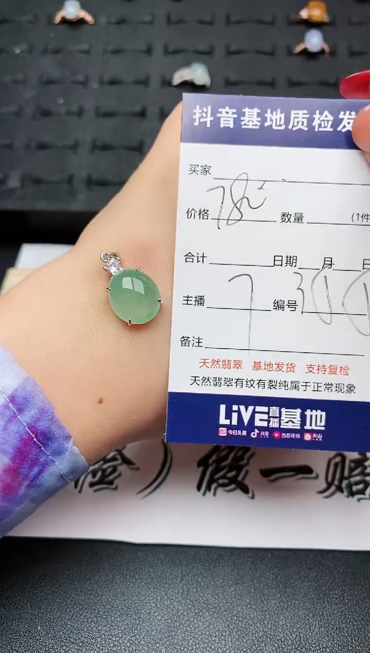 【闪购商品】翡翠颈饰银S925镶嵌.........