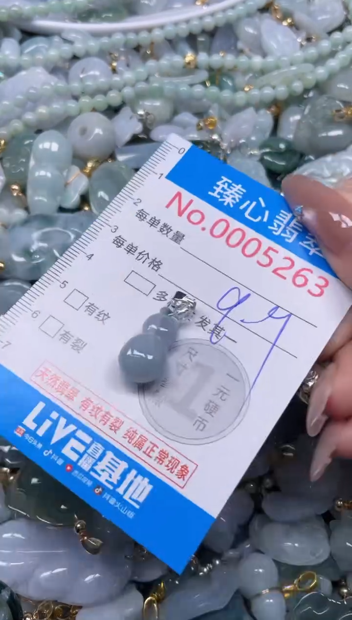 颈饰未镶嵌翡翠5263