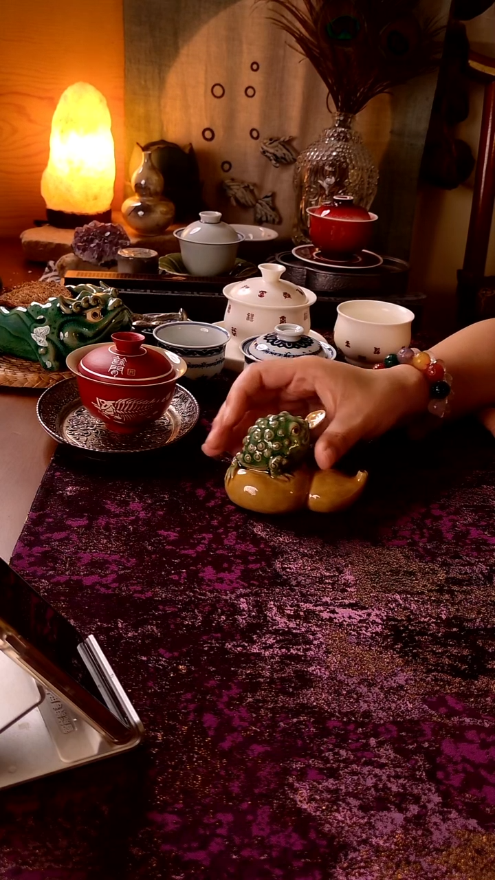 【     茶  宠   】