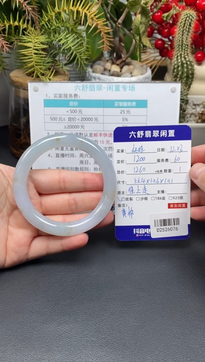 未镶嵌手镯翡翠妮*D2526076