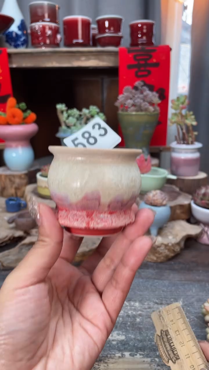 【闪购商品】摆件583知木小芳花盆