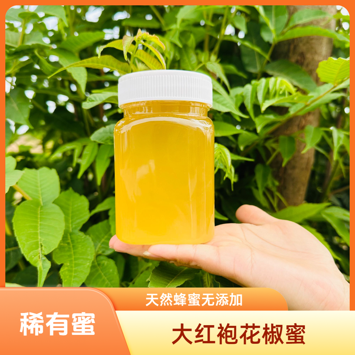 【花椒蜂蜜】花椒蜂蜜养蜂人农家蜂蜜正品正宗花椒蜂蜜甜麻甜麻