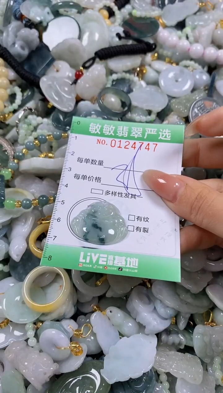 【闪购商品】翡翠颈饰未镶嵌闪购0124747