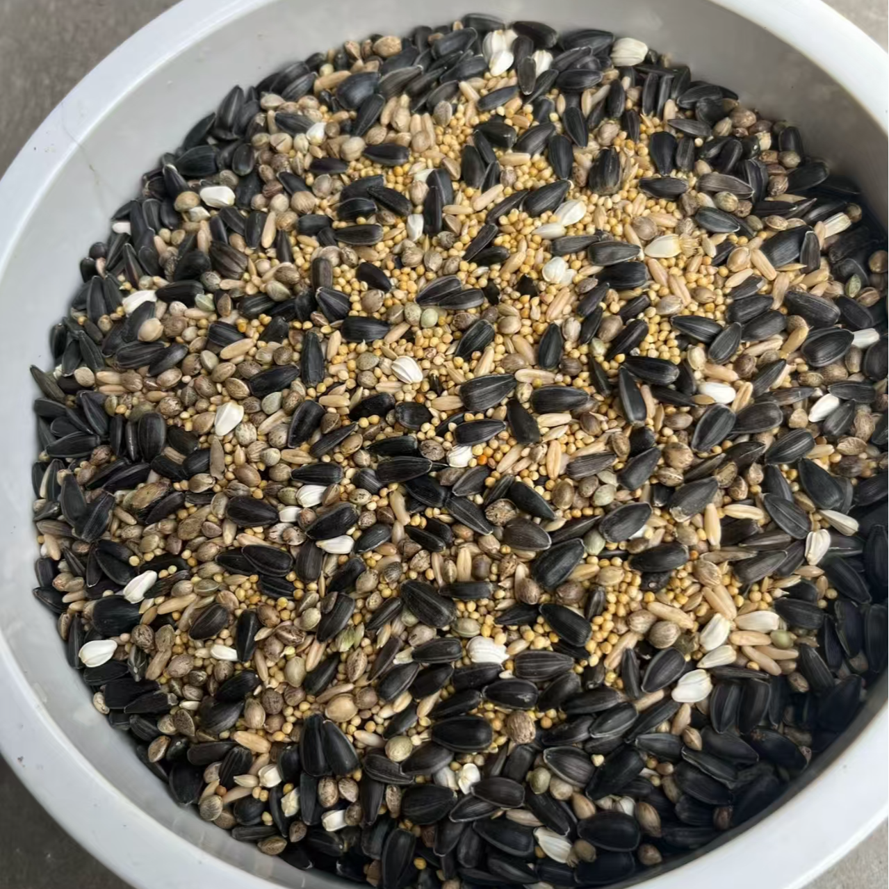 鹦鹉种子粮牡丹旋风小太阳和尚