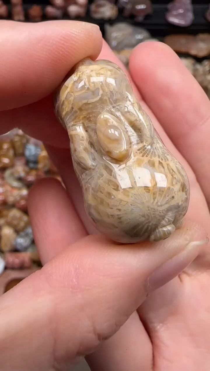 硅化珊瑚（珊瑚玉）未镶嵌颈饰270