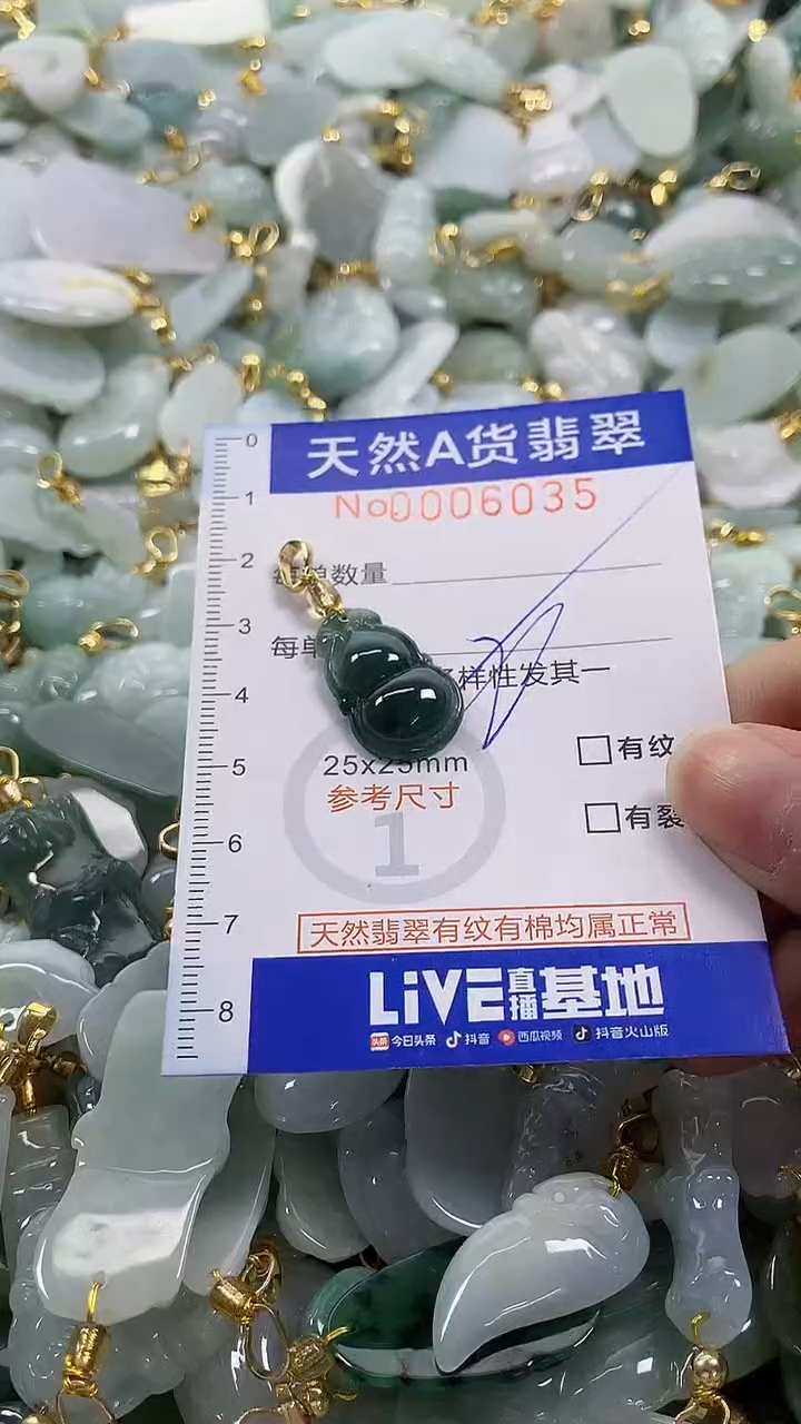 颈饰未镶嵌翡翠纯天然a货翡翠