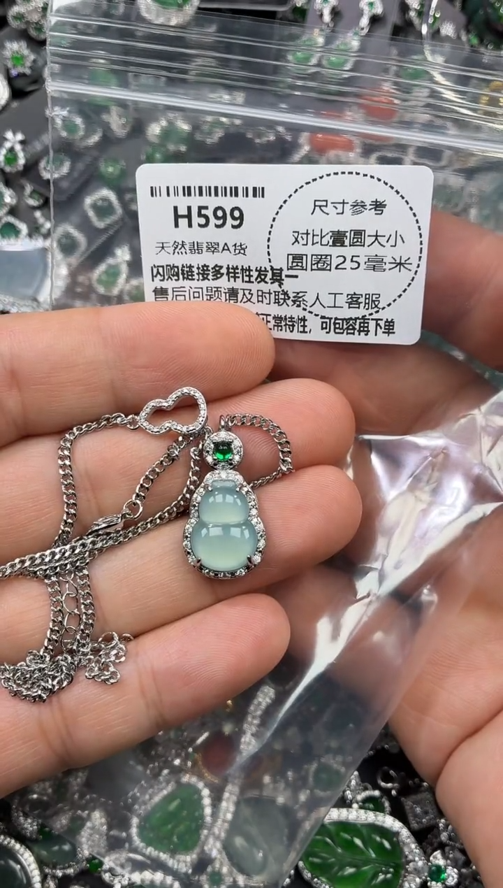 颈饰未镶嵌翡翠H599项链