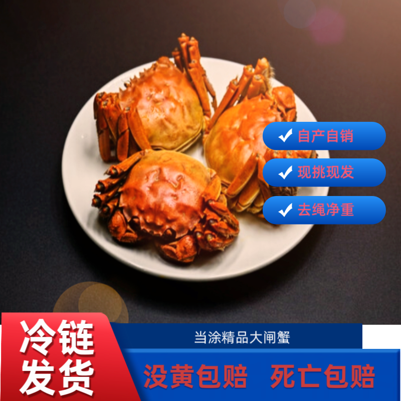 【活蟹现发】-母蟹套餐-4两5两-5/7只-冷链包邮