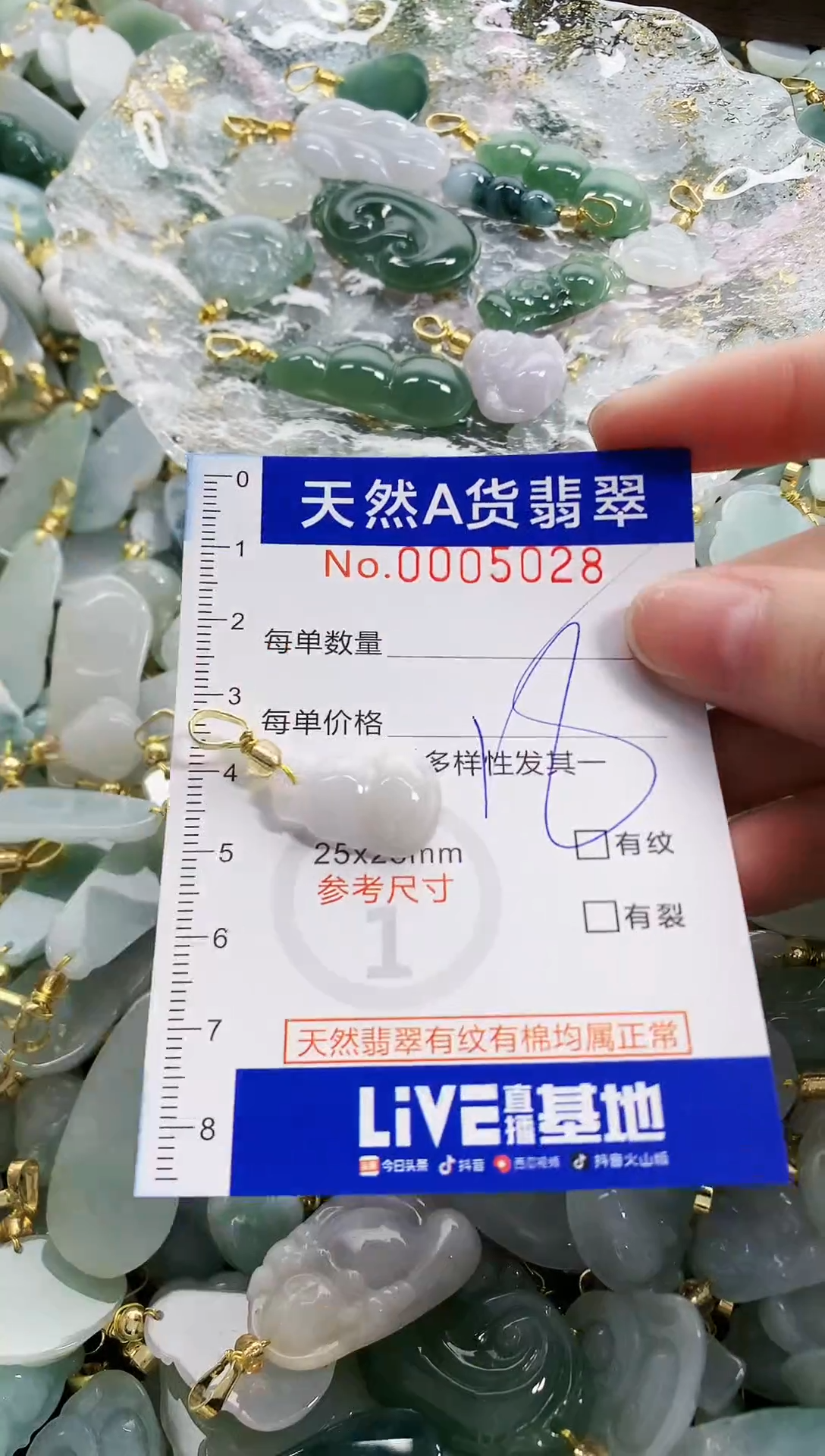 颈饰未镶嵌翡翠天然A货翡翠