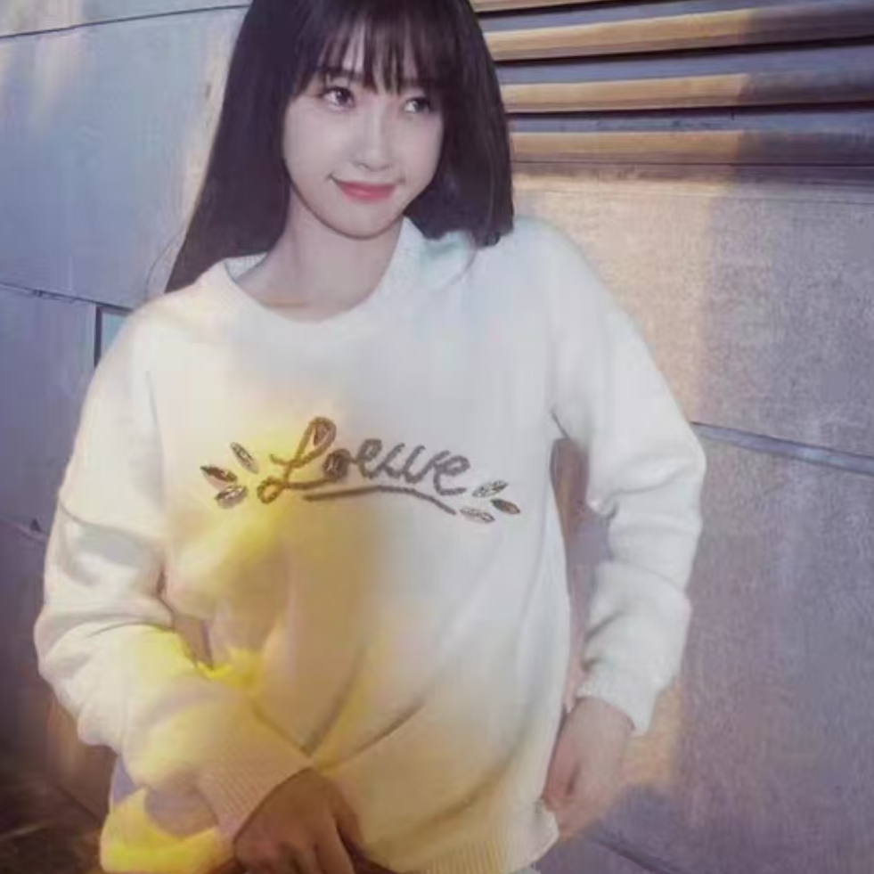 未使用 LOEWE/罗意威 Loewe 圆领纯色logo针织衫 米色XS