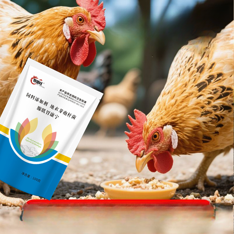 【牧德旺】腺肌胃康宁 鸡鸭鹅用厂家直发厂商品图