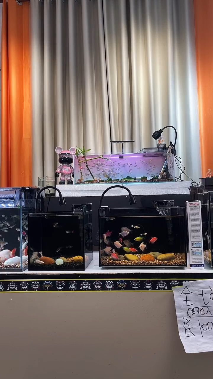 是***?长30款18高20小型桌面鱼缸