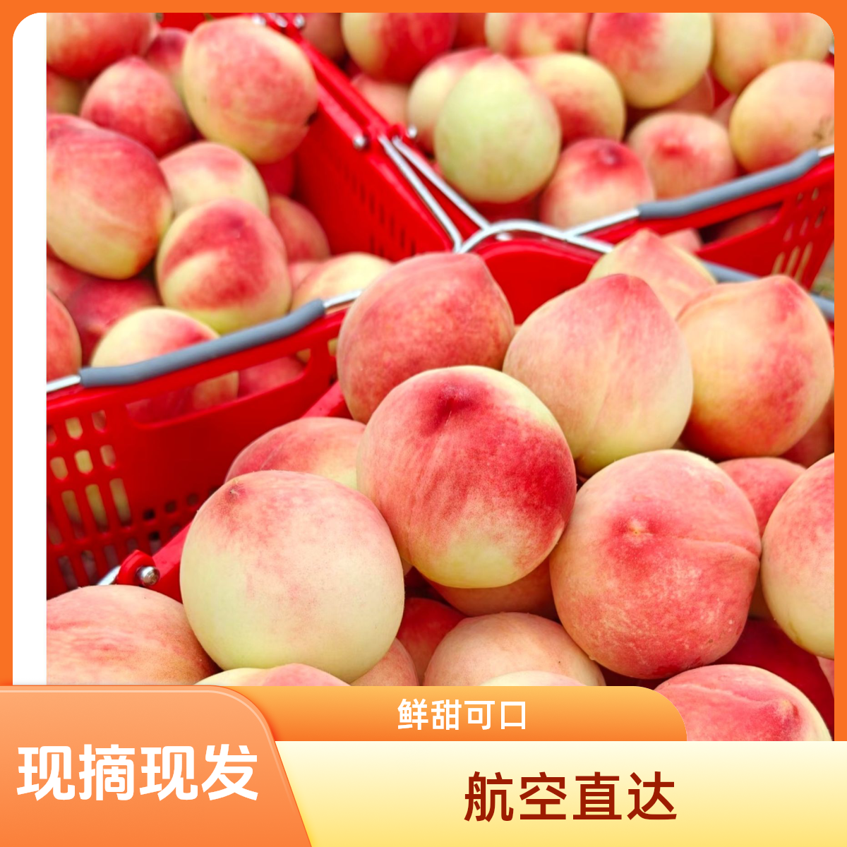 【智和专属】天秦安蜜桃北京七号脆软两吃现摘现发顺丰包邮