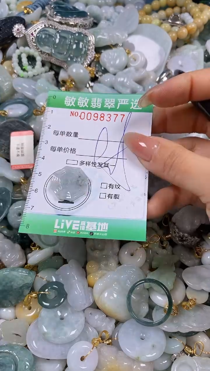 【闪购商品】翡翠颈饰未镶嵌闪购0098377