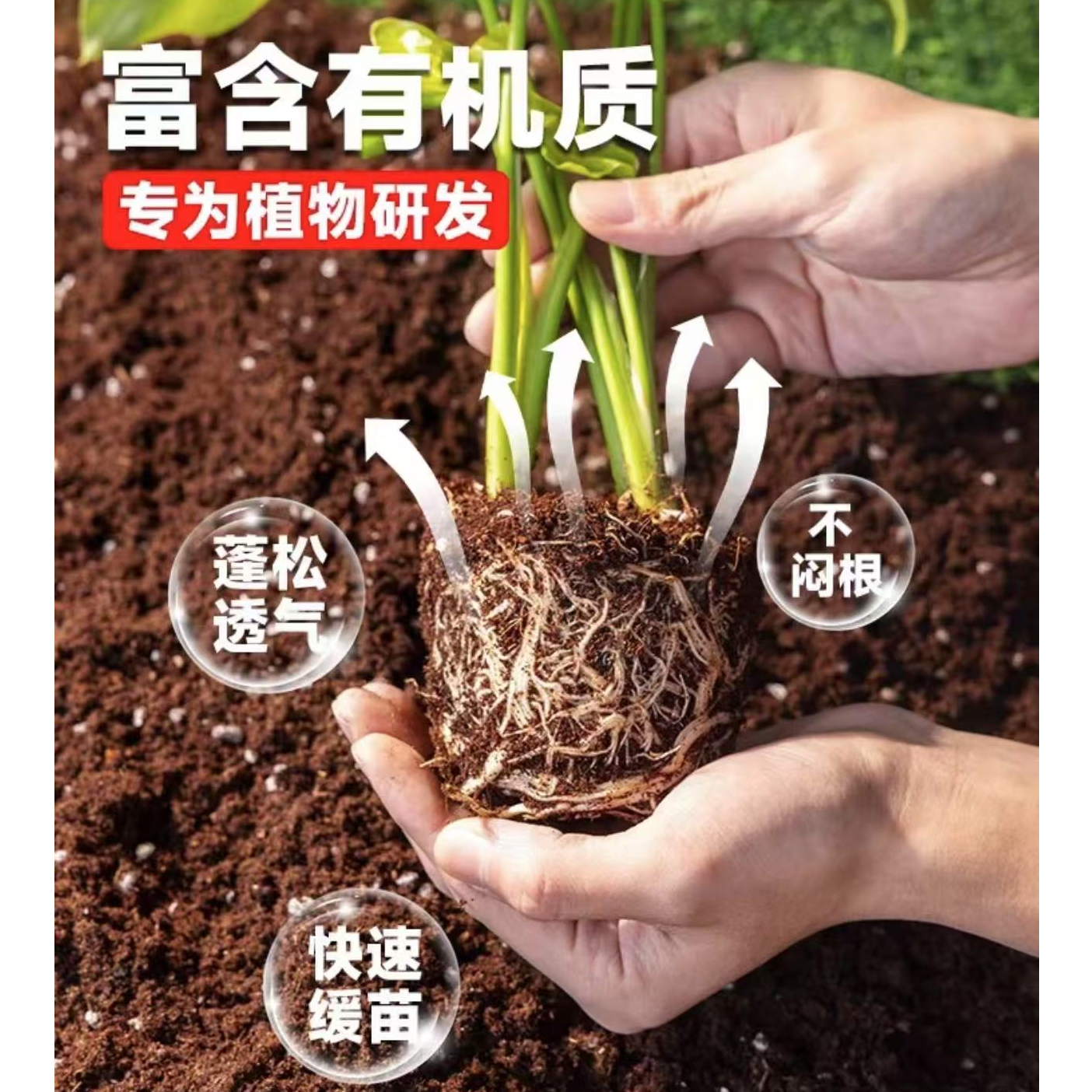 有机营养土 可扦插可盆栽天然进口泥炭 通用型 家庭园艺营养土