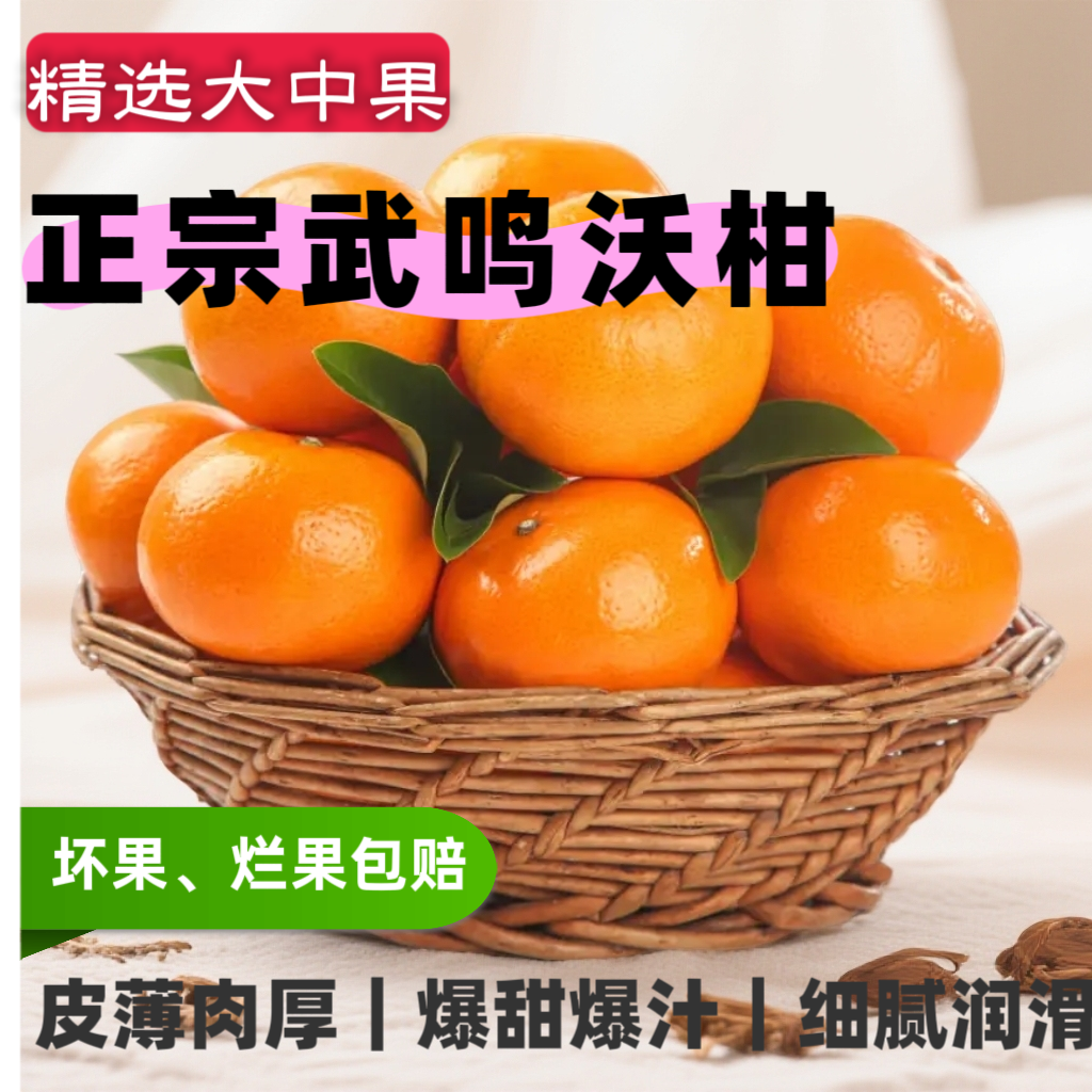 M【广西武鸣沃柑】当季新鲜现摘水果皮薄多汁香甜柑橘农家老树果