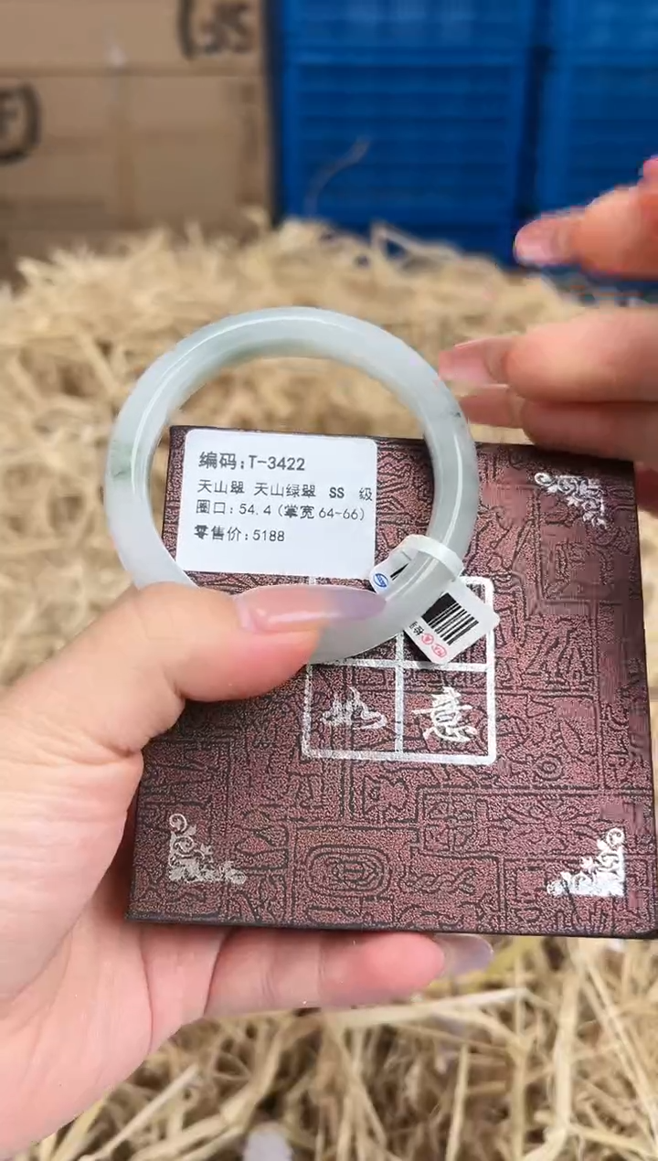 未镶嵌手镯石英质玉T-3422