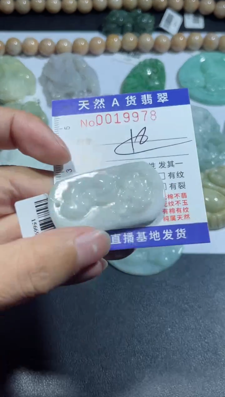 【闪购商品】翡翠颈饰未镶嵌00019978