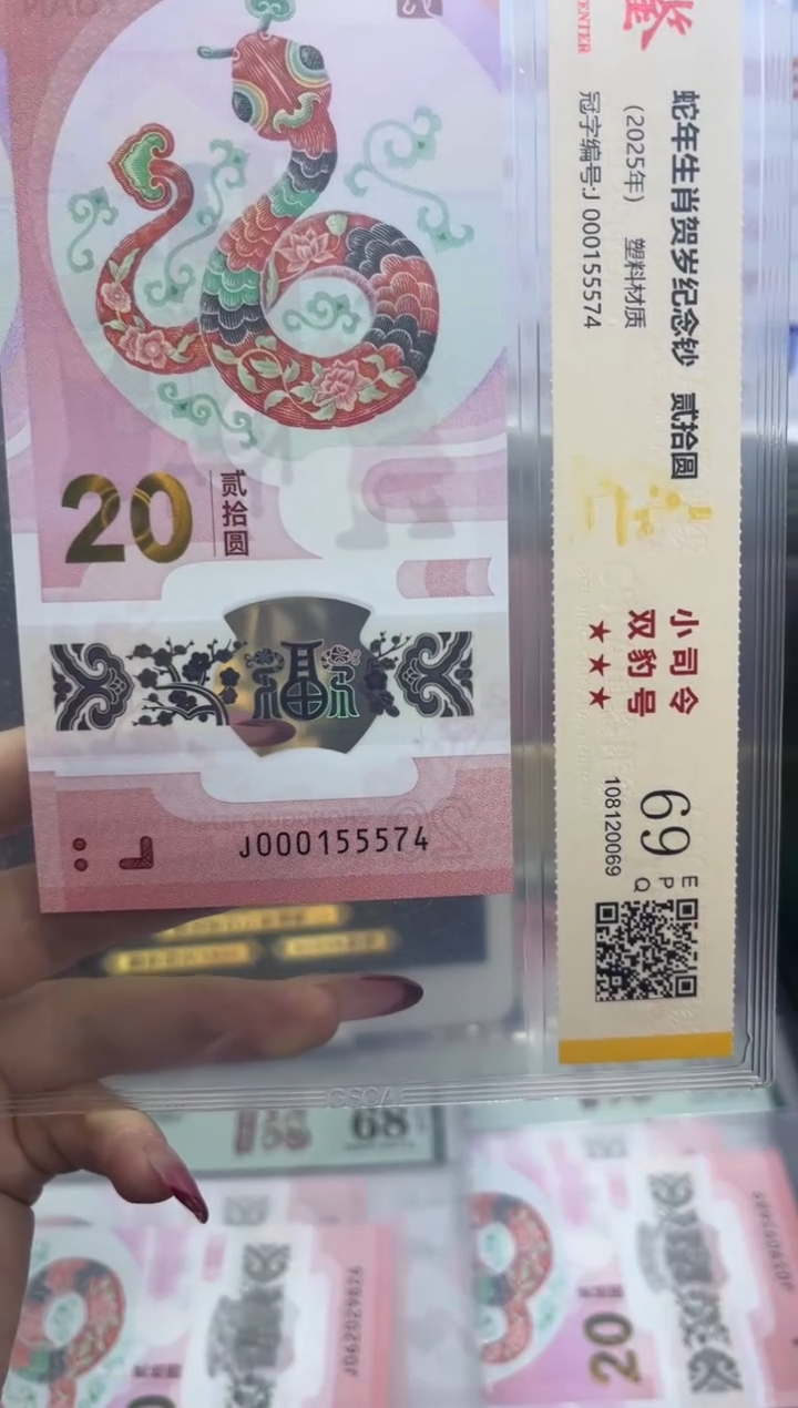 塑料蛇钞小司令69分 双豹号