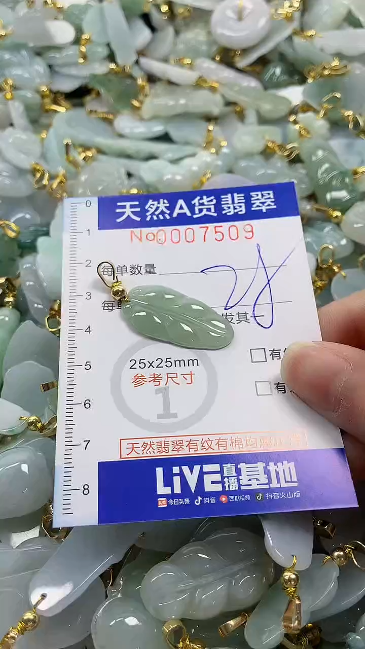 颈饰未镶嵌翡翠纯天然a货翡翠