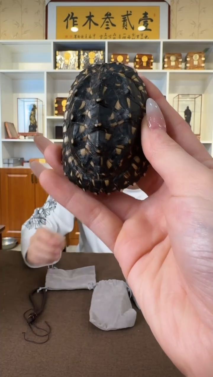 木黑斑龟壳单个 