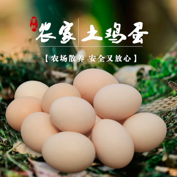 自家果园散养散放虫草土鸡蛋10枚现捡现发