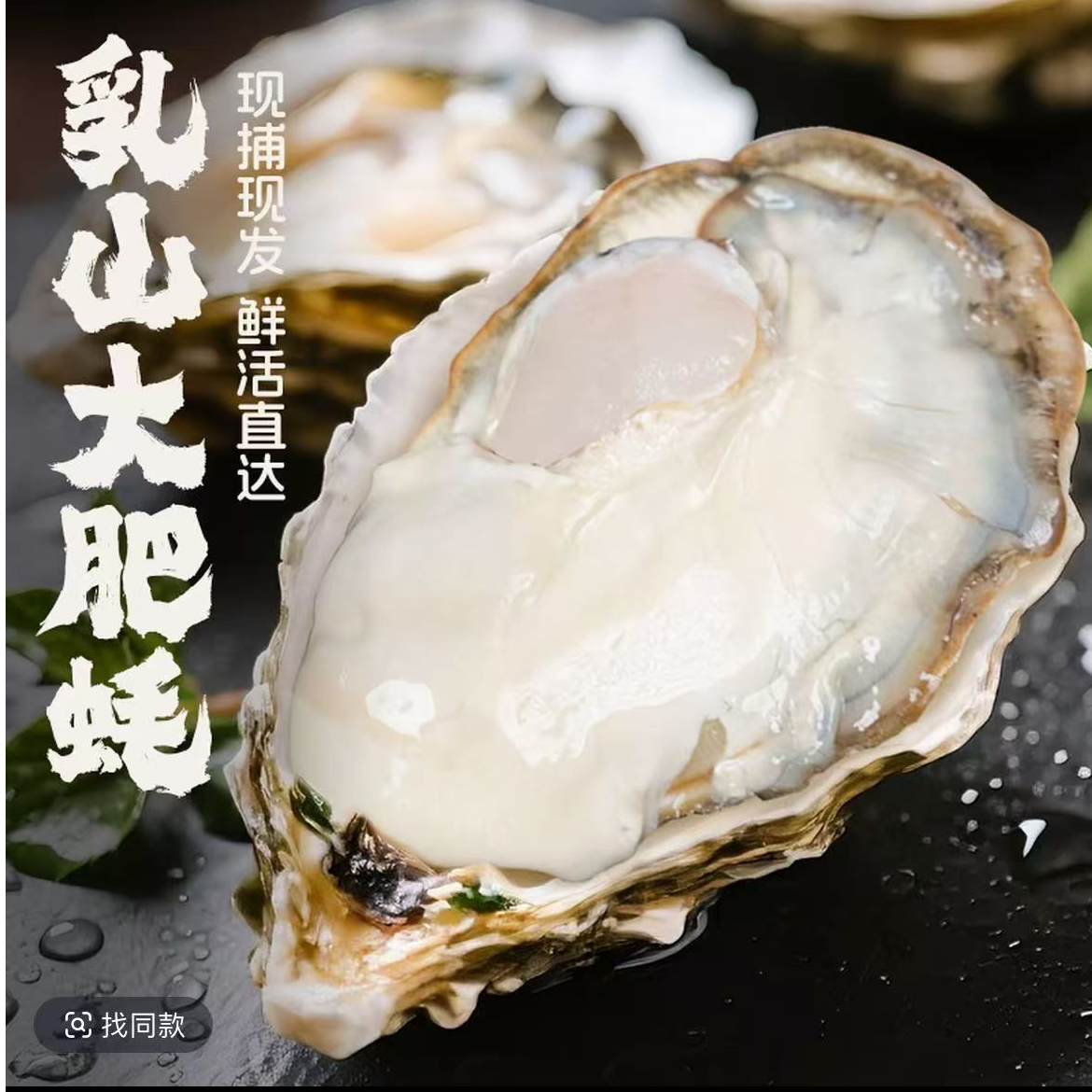 【一霏】乳山生蚝新鲜牡蛎产地直发4-5两每只大个，到手7+2，9斤