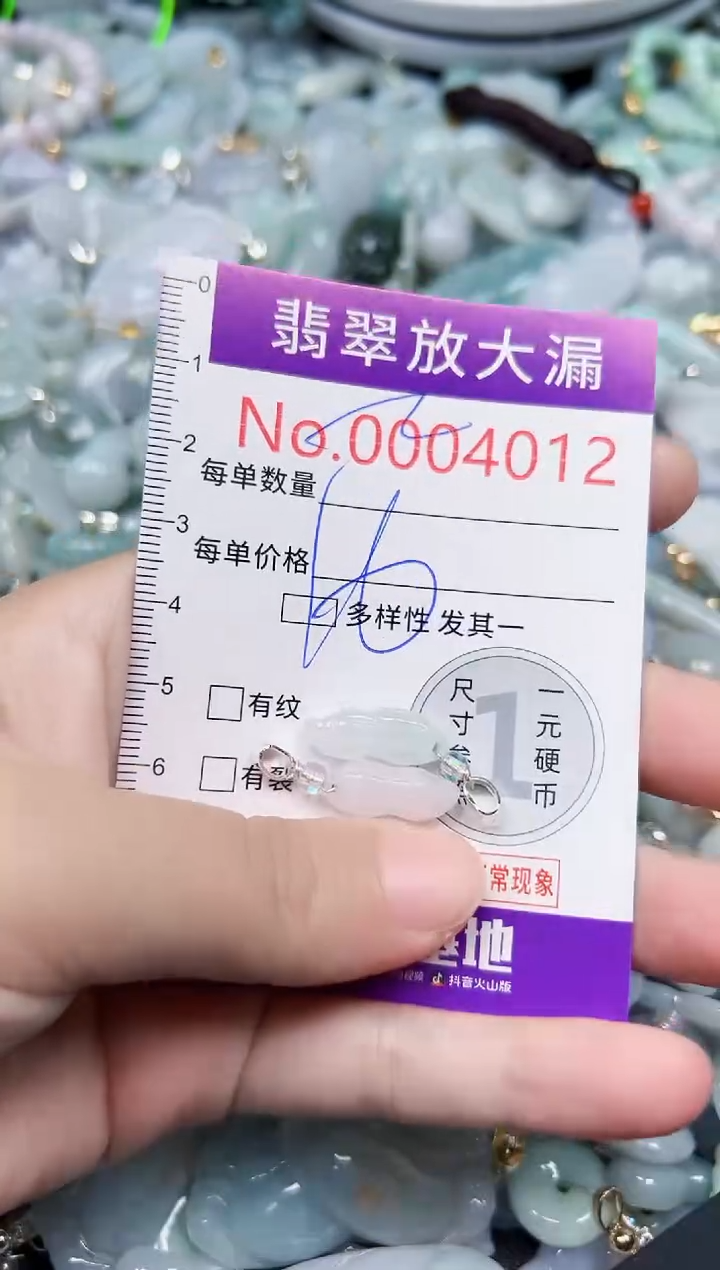 颈饰未镶嵌翡翠4012
