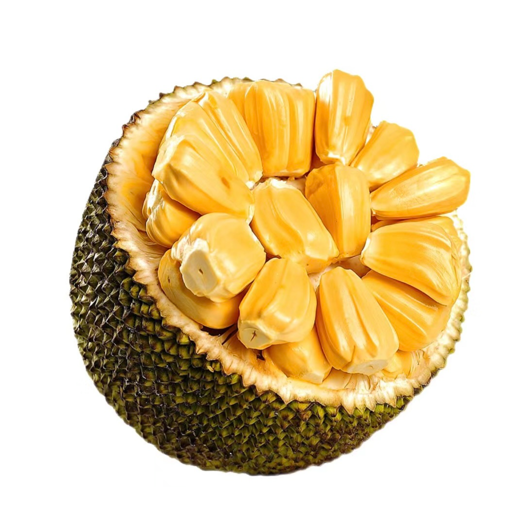 越南红肉菠萝蜜10-11福利