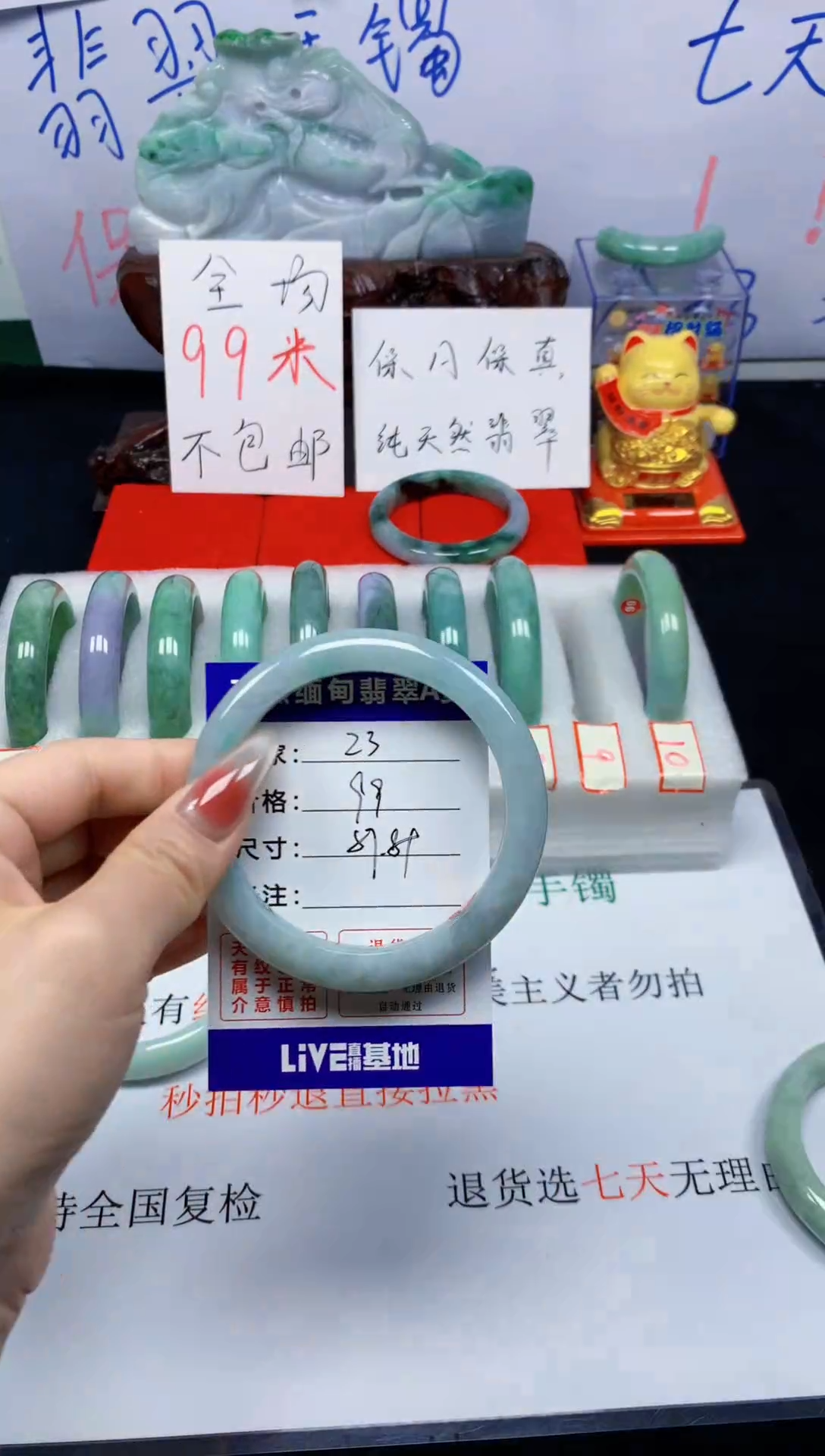 未镶嵌手镯翡翠23