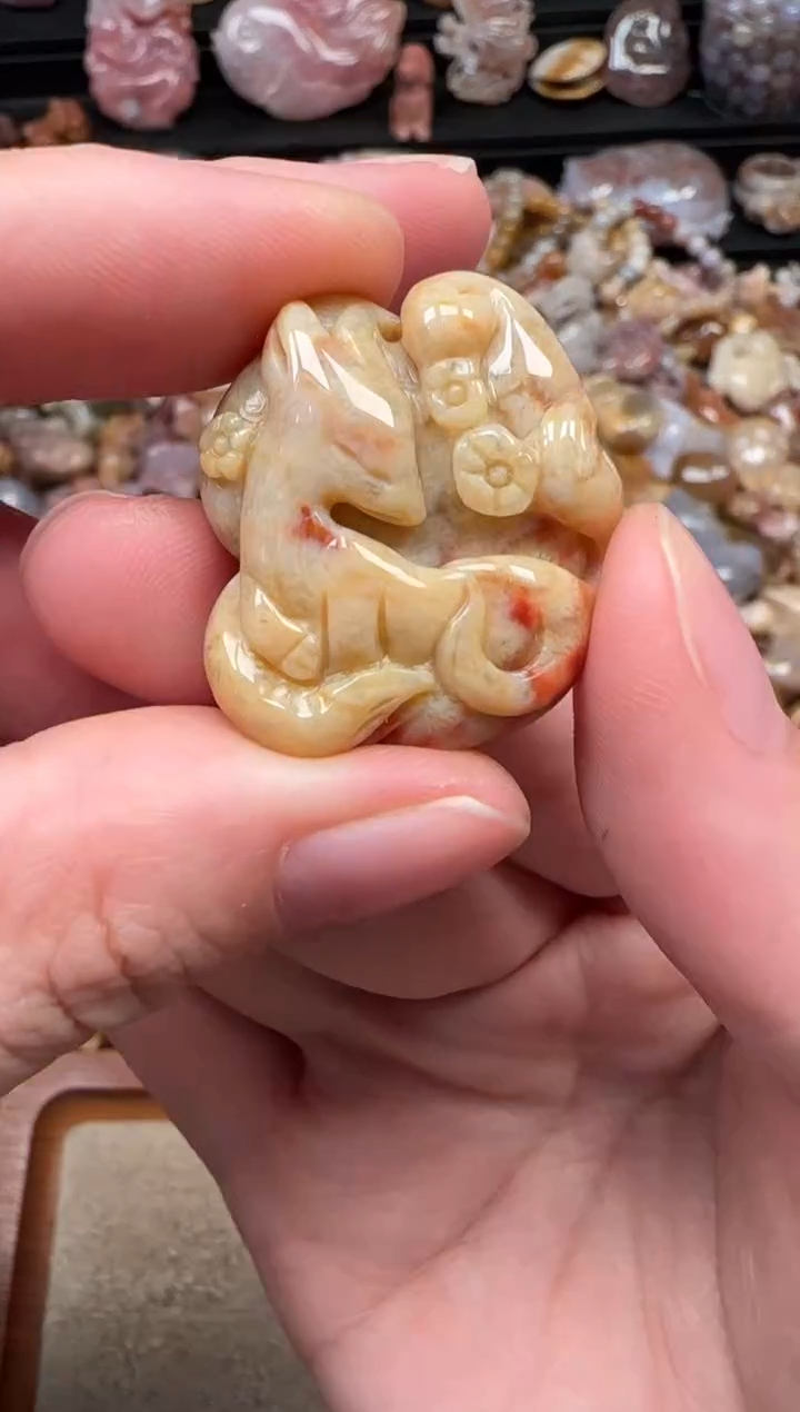 颈饰未镶嵌硅化珊瑚（珊瑚玉）517