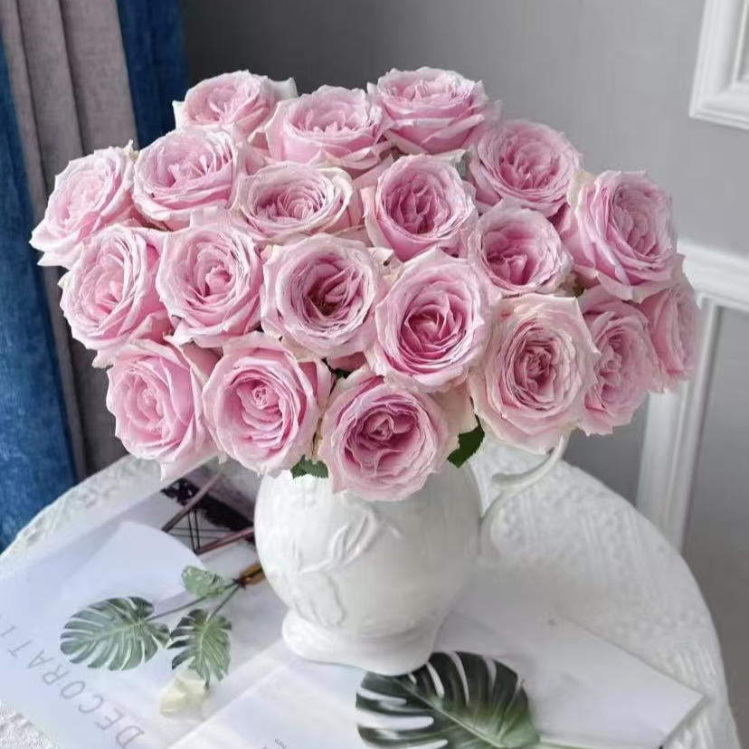 【粉雪山玫瑰20支】 同地址任意拍2单冷链送货上门