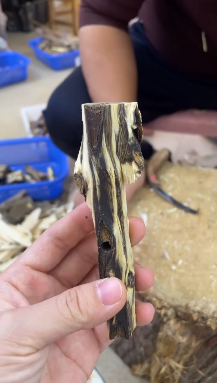 【闪购商品】沉香木沉香碎屑棋楠沉香 原料文创1