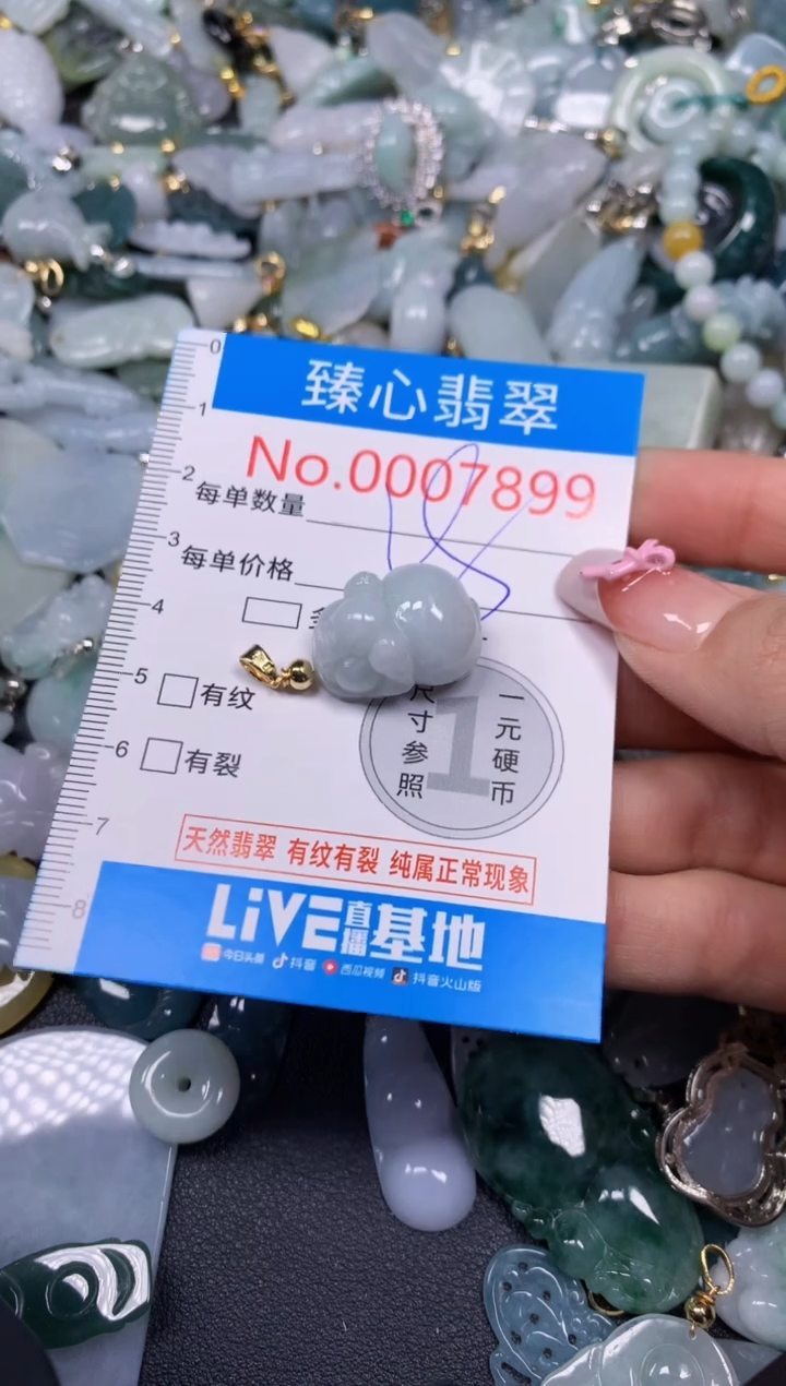 【闪购商品】翡翠颈饰未镶嵌含绳0007899