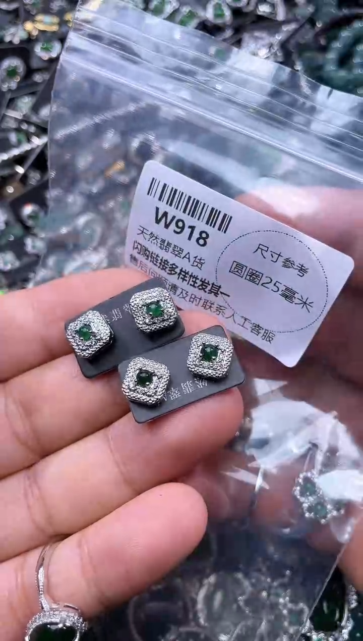【闪购商品】翡翠颈饰未镶嵌W918耳钉 多样性发其一