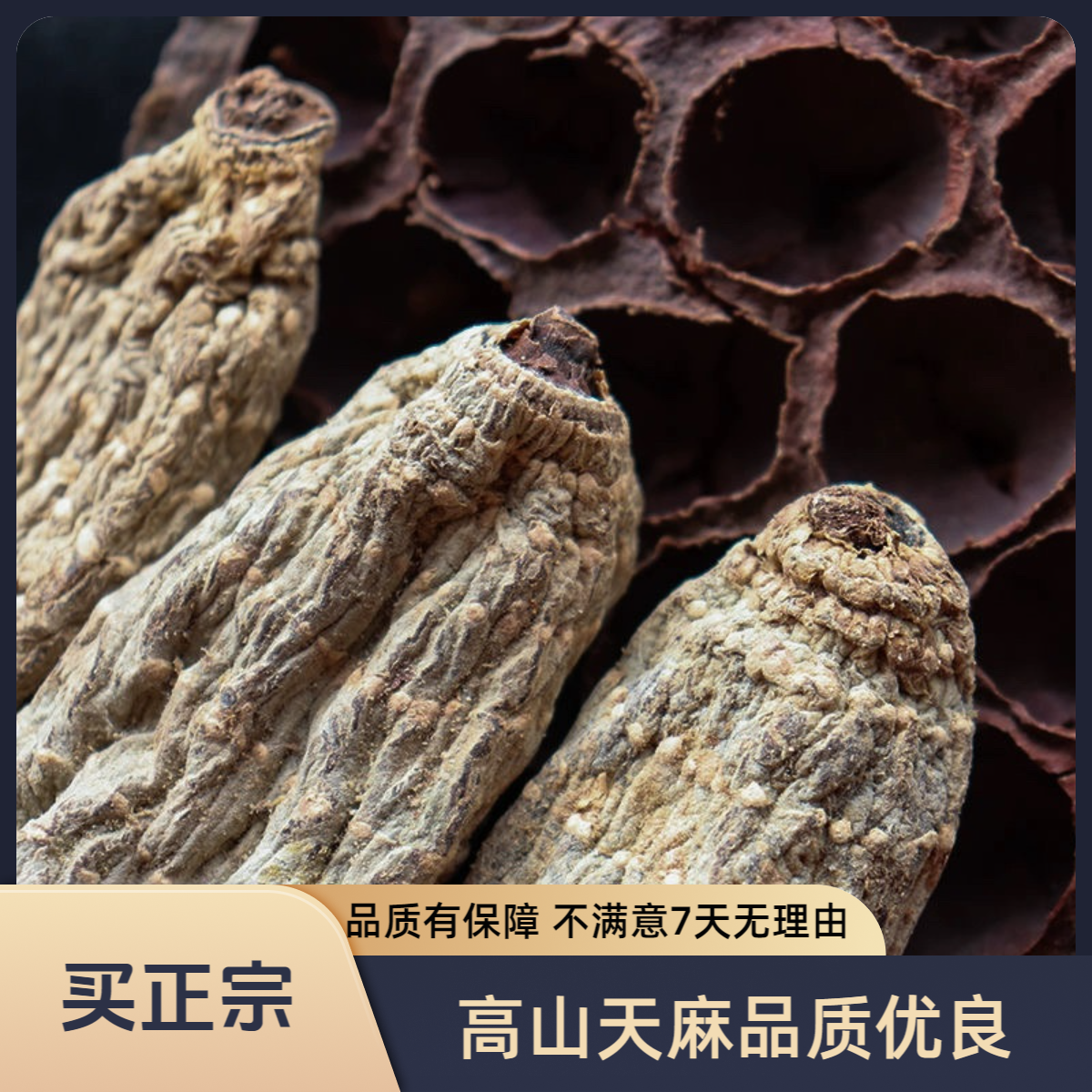 2高山高原乌天麻天麻天然