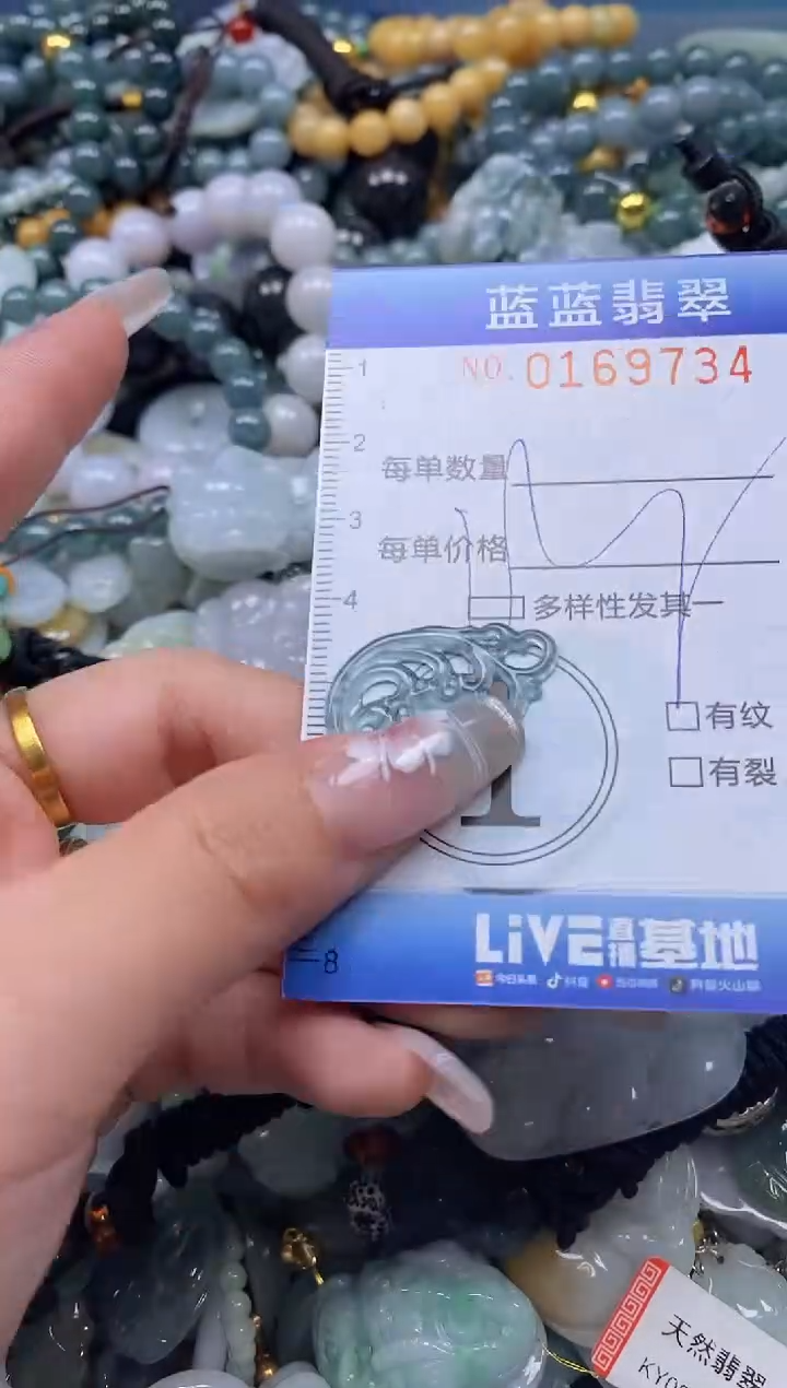 【闪购商品】翡翠颈饰未镶嵌闪购0169734