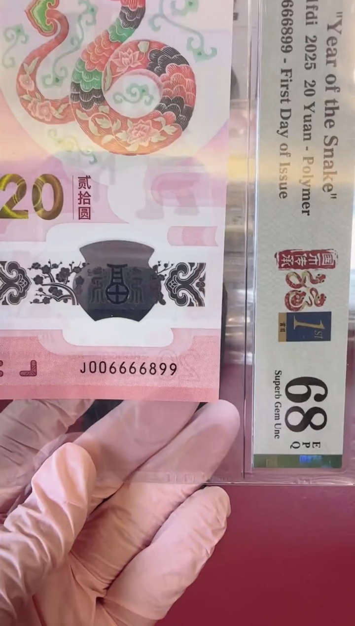 塑料2025蛇钞单张啊啊啊
