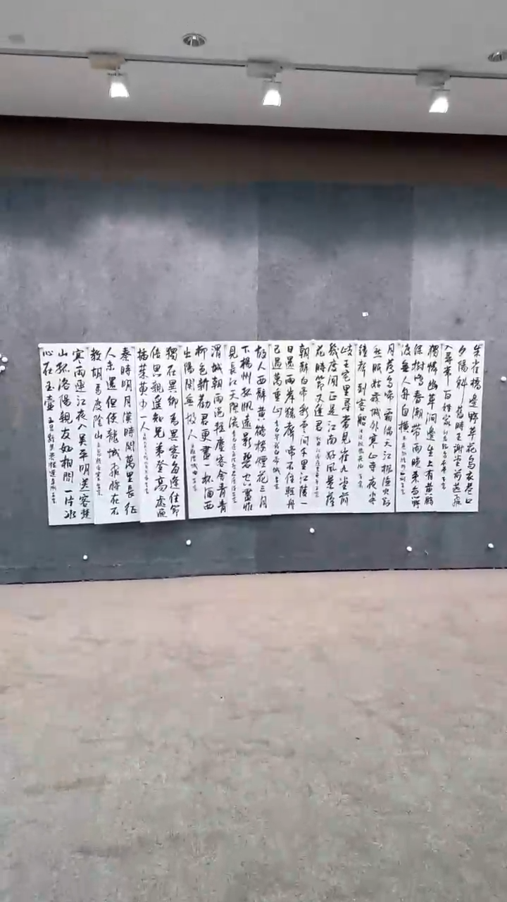 【闪购商品】书法pmw不二轩旗舰店国画LAZ15