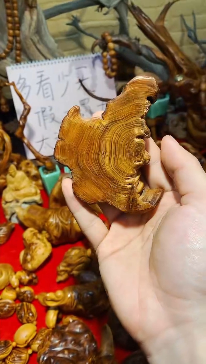 【闪购商品】柏木30崖柏崖柏崖柏崖柏崖柏