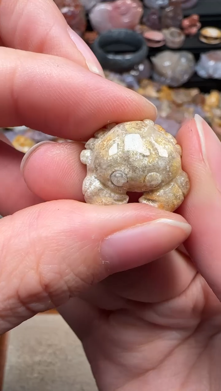 颈饰未镶嵌硅化珊瑚（珊瑚玉）346