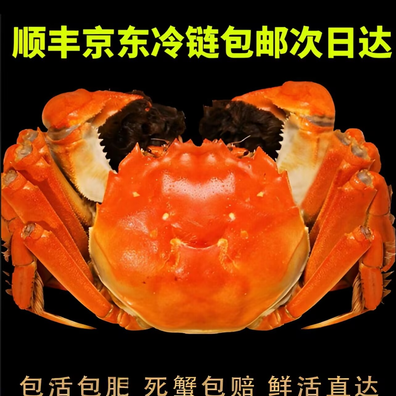 【活蟹】现捕现捞 公3.0-2.5两 8只